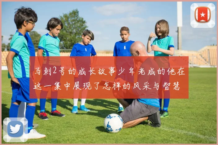 马刺2号的成长故事少年老成的他在这一集中展现了怎样的风采与智慧