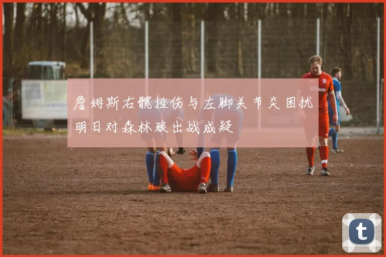 詹姆斯右髋挫伤与左脚关节炎困扰明日对森林狼出战成疑